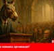 Нега одамлар эшакка эргашади?